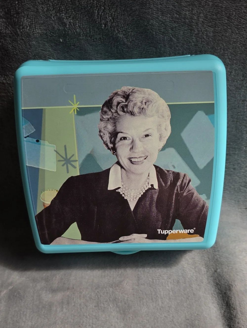 Tupperware Teal Retro Portrait Sandwich Keeper